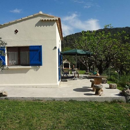 Cottage Provencal Belgentier Εξωτερικό φωτογραφία